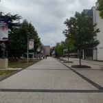 סיפורי סאמר סקול - מרכז לונדון הארו 2018 לינוי מירקין_3