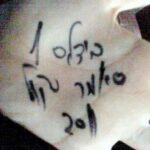 סיפורי סאמר סקול - בידלס 2011 מאי דרומי_1
