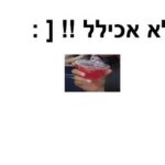 סיפורי סאמר סקול - בידלס 2011 שחר חמו_3