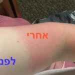 סיפורי סאמר סקול - ניו יורק  ובוסטון לגילאי 15-17 2019 ריטה פריפסקי_11